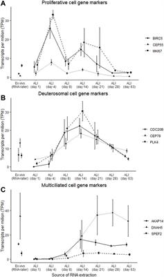 Temporal Whole-Transcriptomic Analysis of Characterized In Vitro and Ex Vivo Primary Nasal Epithelia